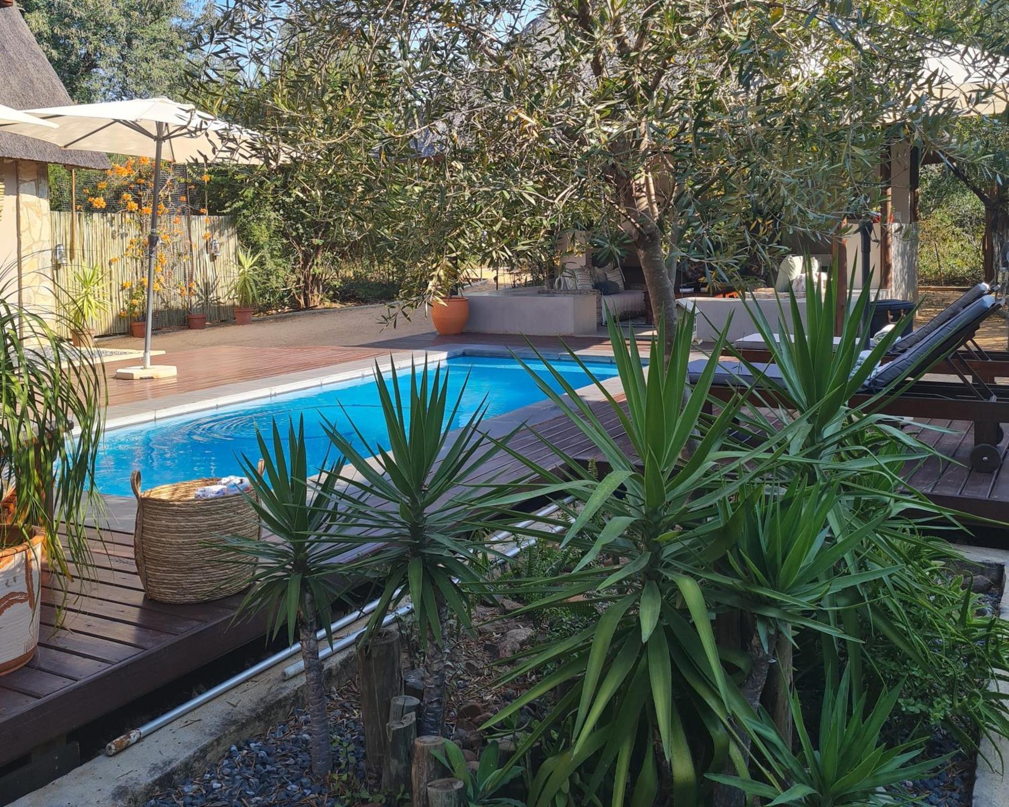 The Dreamcatcher Lodge Hoedspruit Zewnętrze zdjęcie